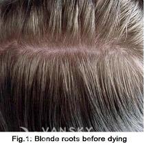 260210094025_Hair-Before Dying-s.jpg